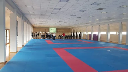 Europejskie Centrum Budo – Dojo Stara Wieś