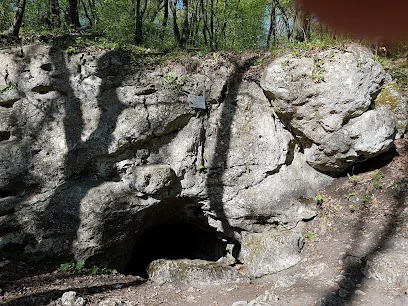 Jaskinia w Zielonej Górze (Rezerwat Zielona Góra)