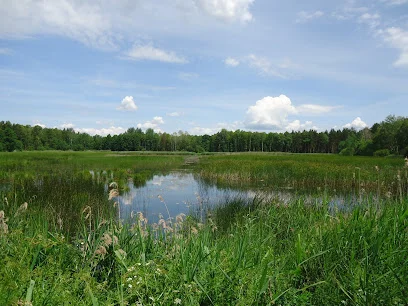 Stawy Krasianów
